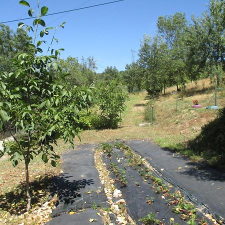 Bungalow "A Choupana" - Quinta Da Carvoica - Vale Pradinhos Vale de Pradinhos 外观 照片