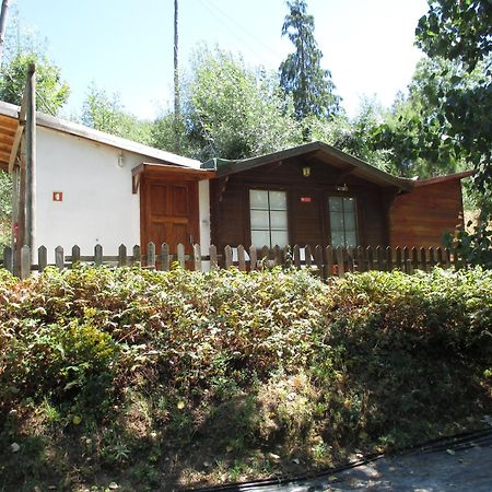 Bungalow "A Choupana" - Quinta Da Carvoica - Vale Pradinhos Vale de Pradinhos 外观 照片
