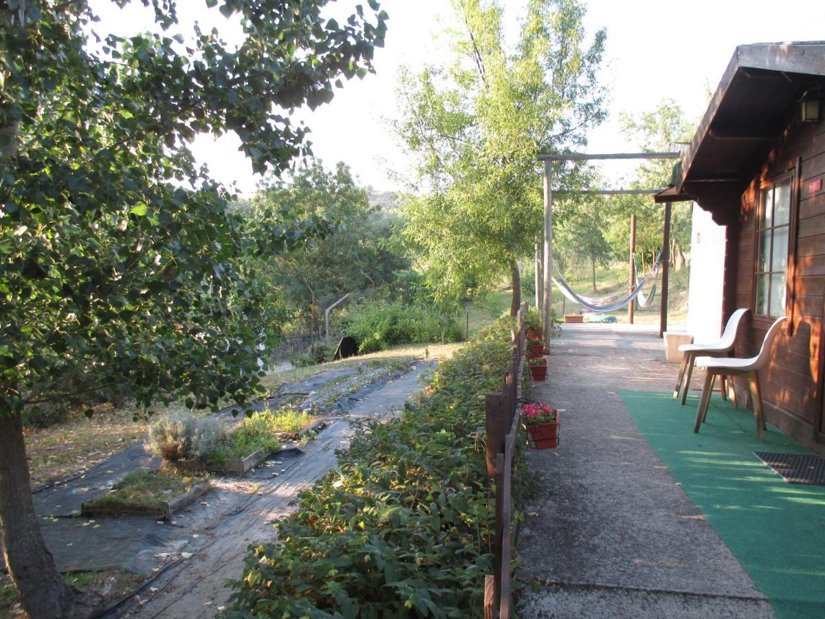 Bungalow "A Choupana" - Quinta Da Carvoica - Vale Pradinhos Vale de Pradinhos 外观 照片