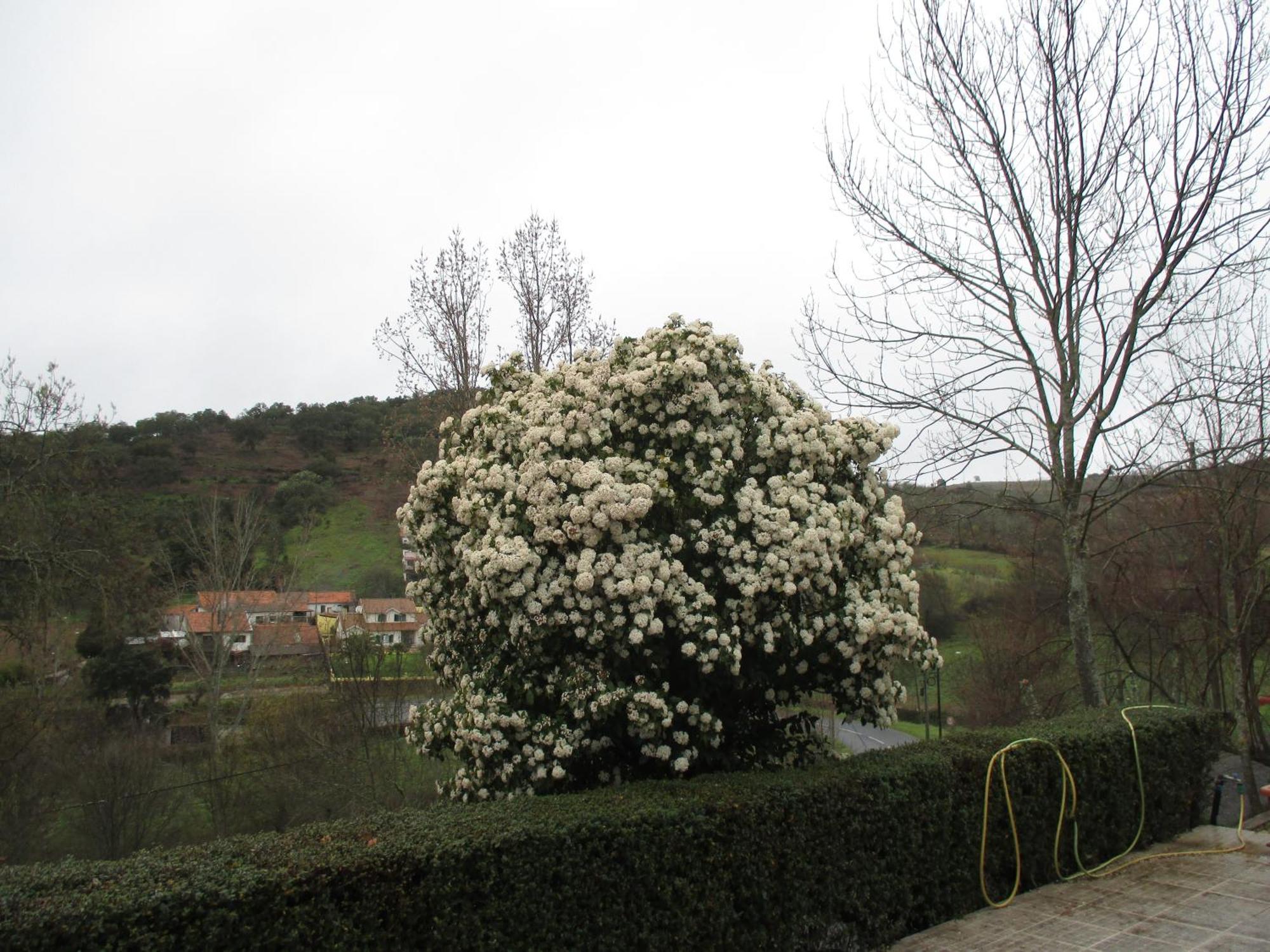 Bungalow "A Choupana" - Quinta Da Carvoica - Vale Pradinhos Vale de Pradinhos 外观 照片